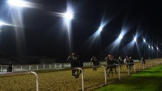 Wolverhampton racecourse